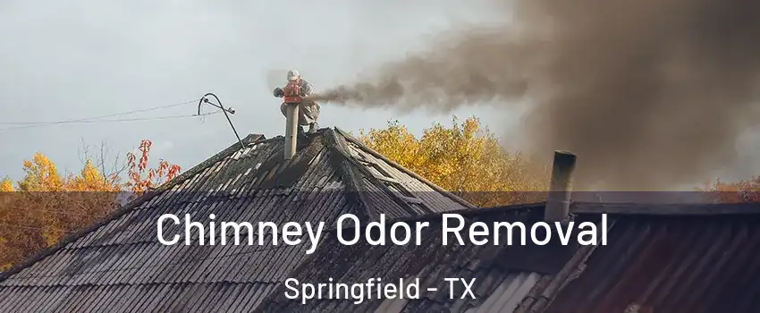 Chimney Odor Removal Springfield - TX