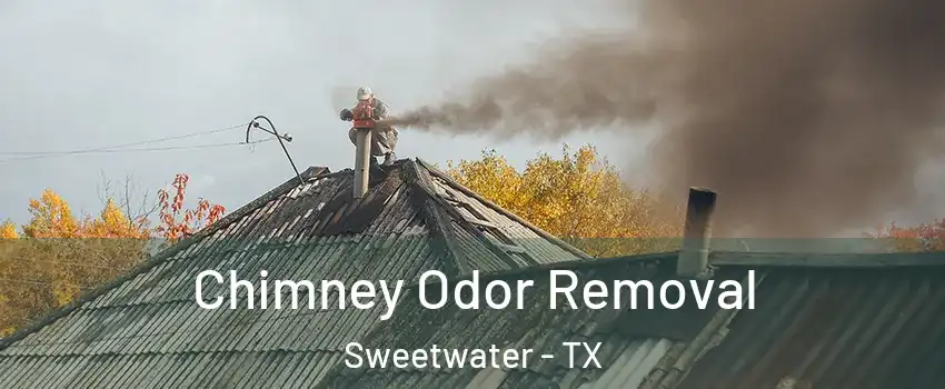 Chimney Odor Removal Sweetwater - TX
