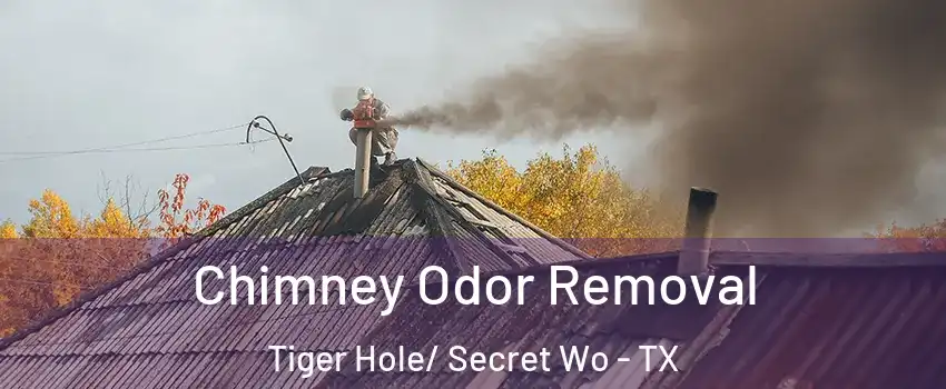 Chimney Odor Removal Tiger Hole/ Secret Wo - TX