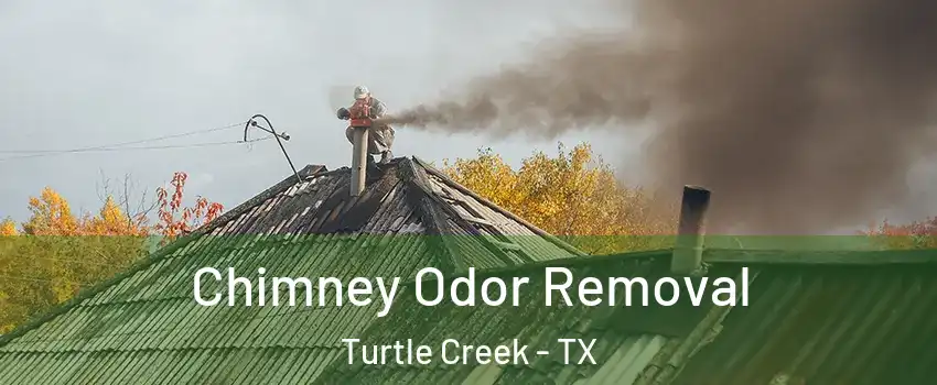 Chimney Odor Removal Turtle Creek - TX