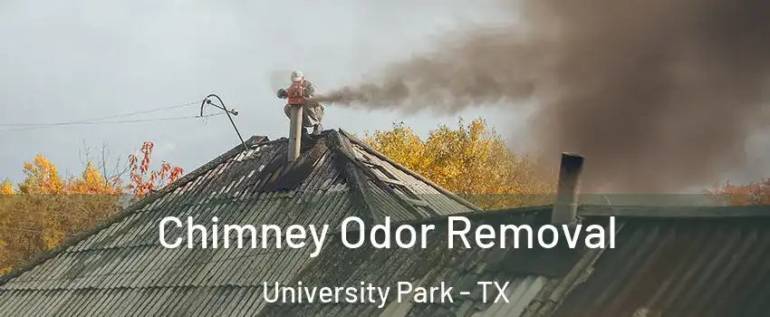 Chimney Odor Removal University Park - TX