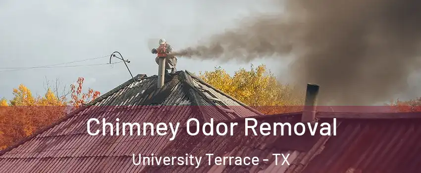 Chimney Odor Removal University Terrace - TX