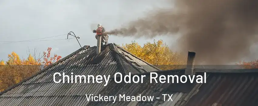 Chimney Odor Removal Vickery Meadow - TX