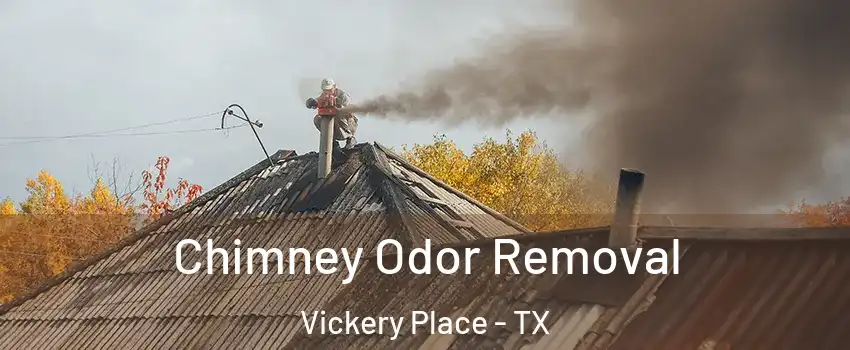 Chimney Odor Removal Vickery Place - TX