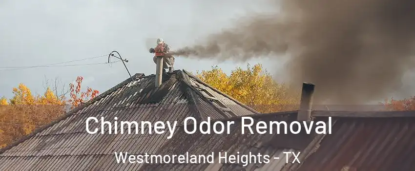 Chimney Odor Removal Westmoreland Heights - TX