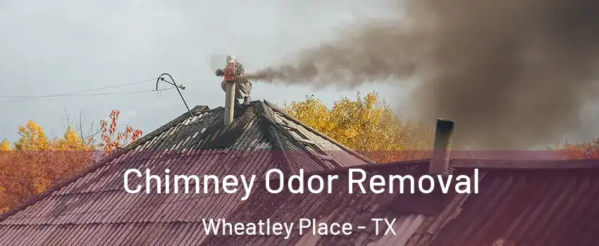 Chimney Odor Removal Wheatley Place - TX