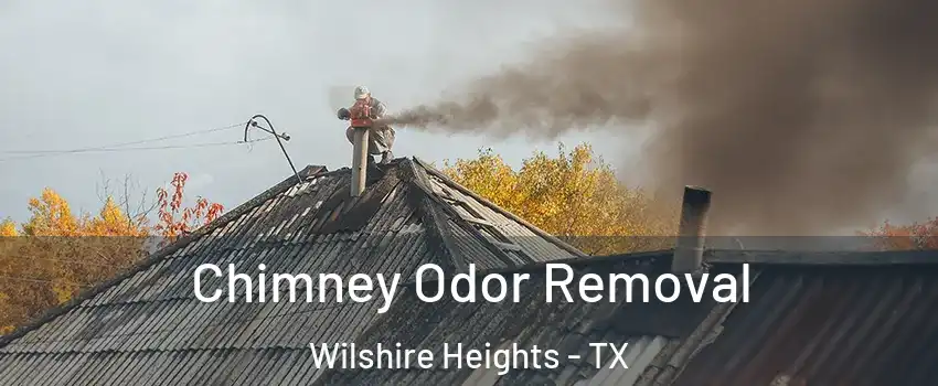 Chimney Odor Removal Wilshire Heights - TX