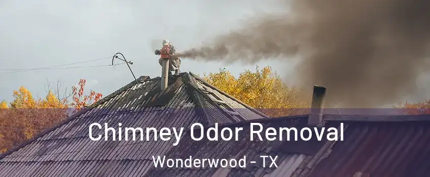 Chimney Odor Removal Wonderwood - TX