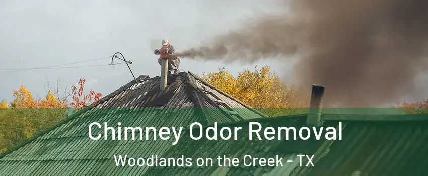 Chimney Odor Removal Woodlands on the Creek - TX