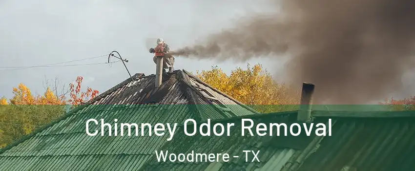 Chimney Odor Removal Woodmere - TX
