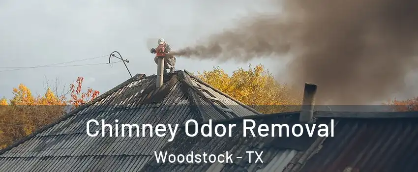 Chimney Odor Removal Woodstock - TX