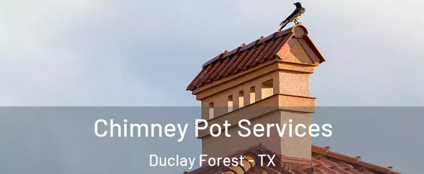 Chimney Pot Services Duclay Forest - TX