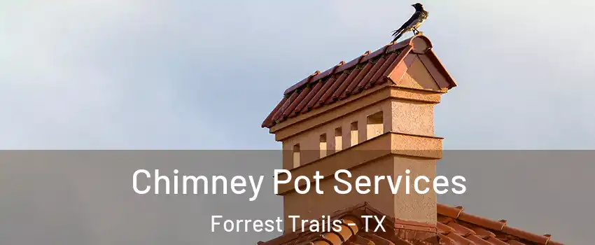 Chimney Pot Services Forrest Trails - TX