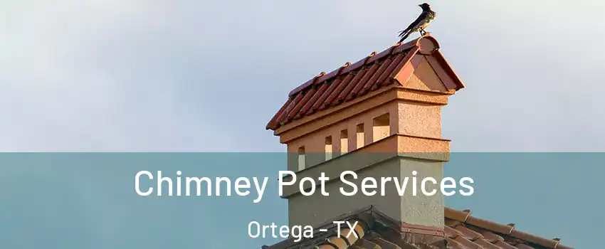 Chimney Pot Services Ortega - TX