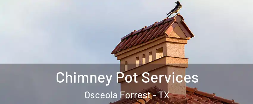 Chimney Pot Services Osceola Forrest - TX