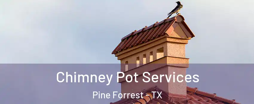 Chimney Pot Services Pine Forrest - TX