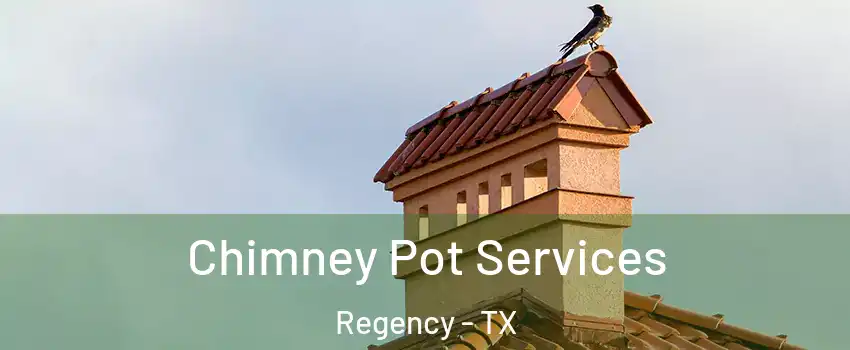 Chimney Pot Services Regency - TX