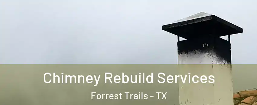 Chimney Rebuild Services Forrest Trails - TX