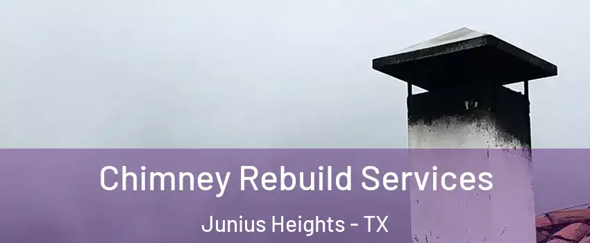 Chimney Rebuild Services Junius Heights - TX