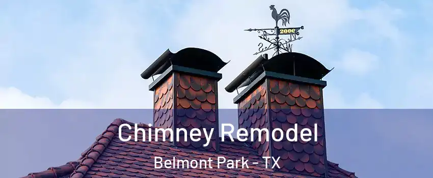 Chimney Remodel Belmont Park - TX