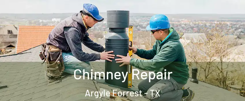 Chimney Repair Argyle Forrest - TX
