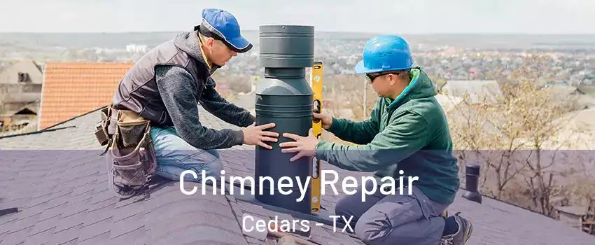 Chimney Repair Cedars - TX