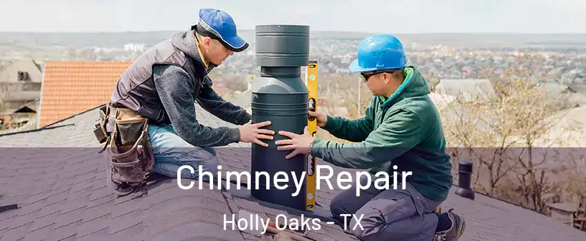 Chimney Repair Holly Oaks - TX