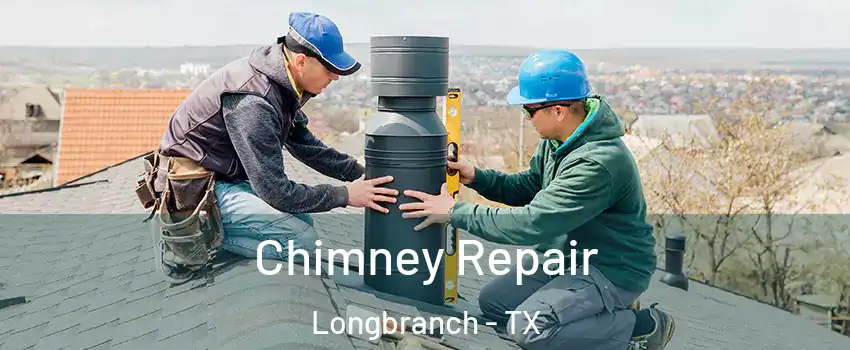 Chimney Repair Longbranch - TX
