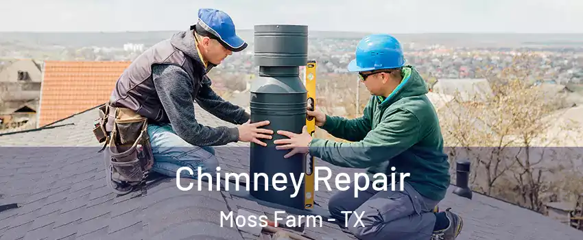Chimney Repair Moss Farm - TX