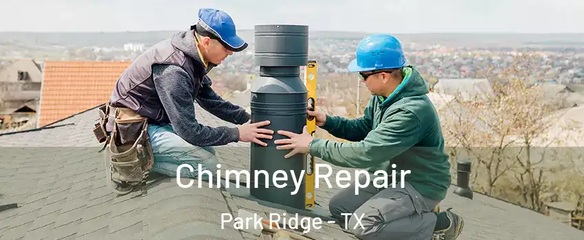Chimney Repair Park Ridge - TX