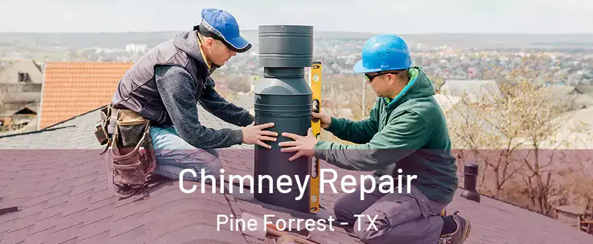 Chimney Repair Pine Forrest - TX