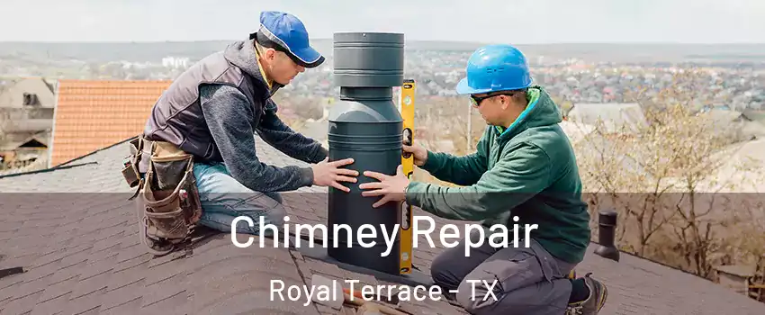 Chimney Repair Royal Terrace - TX