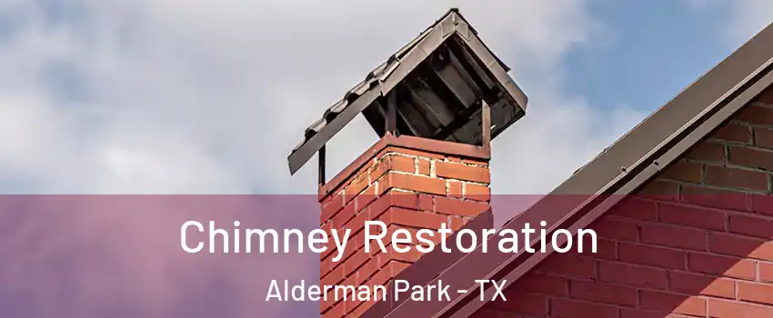 Chimney Restoration Alderman Park - TX