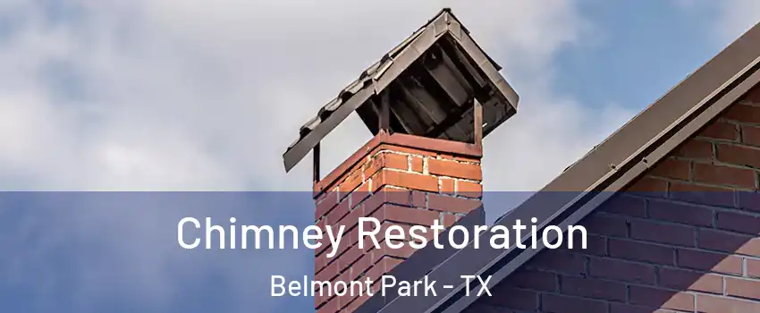 Chimney Restoration Belmont Park - TX