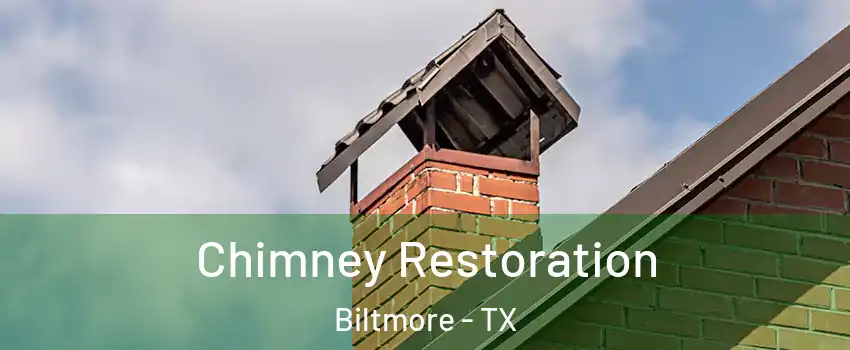 Chimney Restoration Biltmore - TX