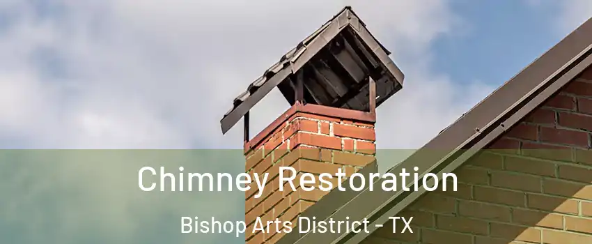 Chimney Restoration Bishop Arts District - TX