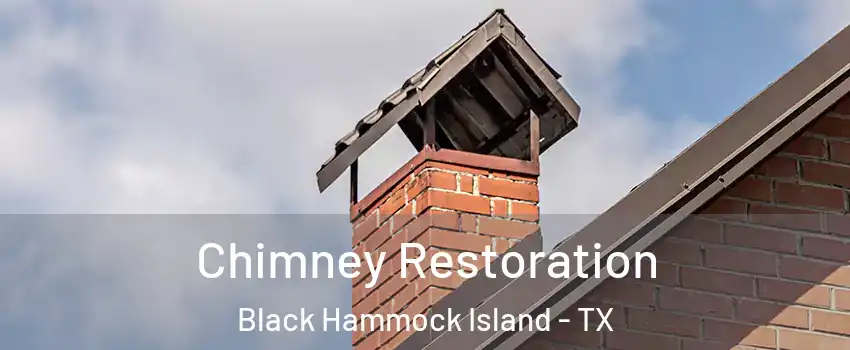 Chimney Restoration Black Hammock Island - TX