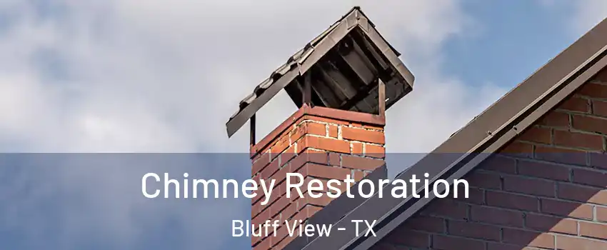 Chimney Restoration Bluff View - TX