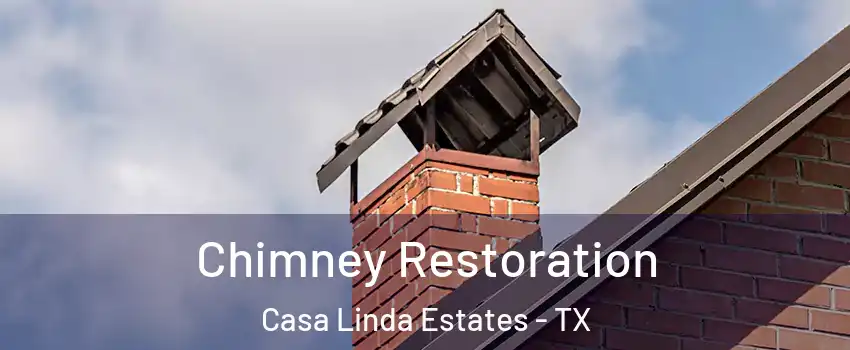 Chimney Restoration Casa Linda Estates - TX