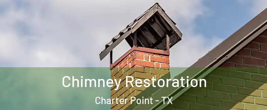 Chimney Restoration Charter Point - TX