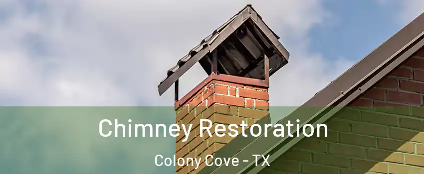 Chimney Restoration Colony Cove - TX