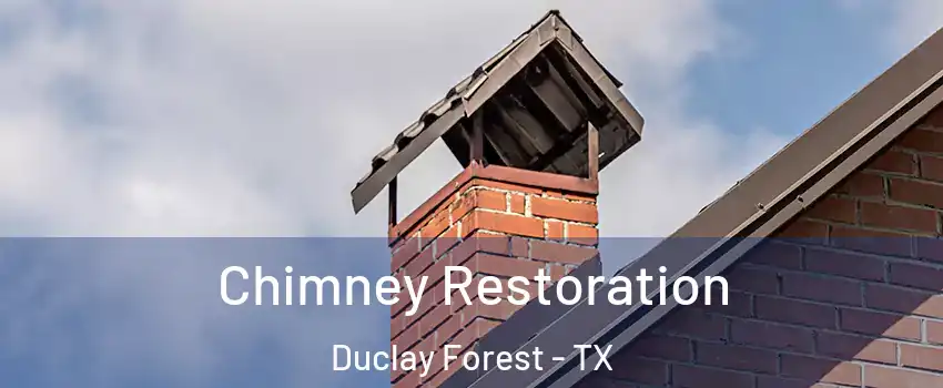 Chimney Restoration Duclay Forest - TX