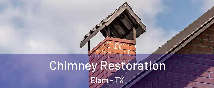 Chimney Restoration Elam - TX