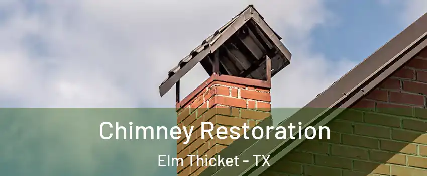 Chimney Restoration Elm Thicket - TX