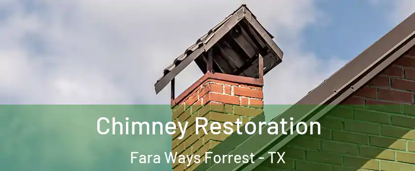 Chimney Restoration Fara Ways Forrest - TX