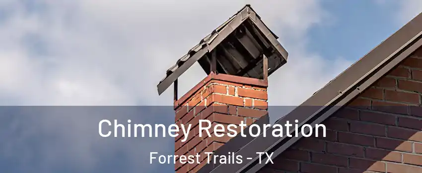 Chimney Restoration Forrest Trails - TX