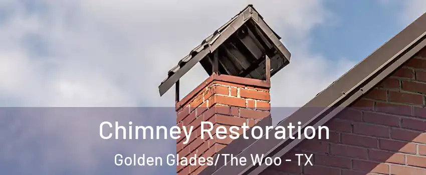 Chimney Restoration Golden Glades/The Woo - TX