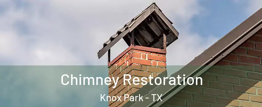 Chimney Restoration Knox Park - TX