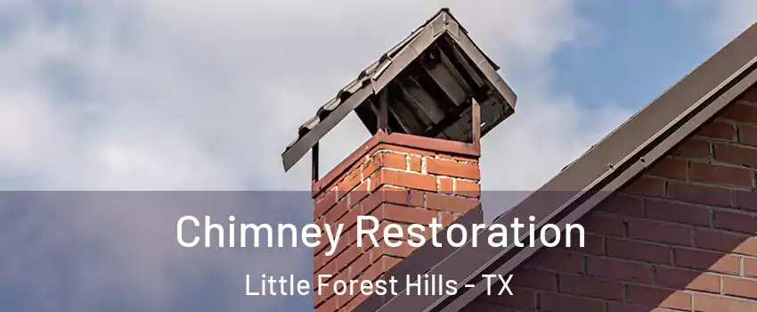 Chimney Restoration Little Forest Hills - TX