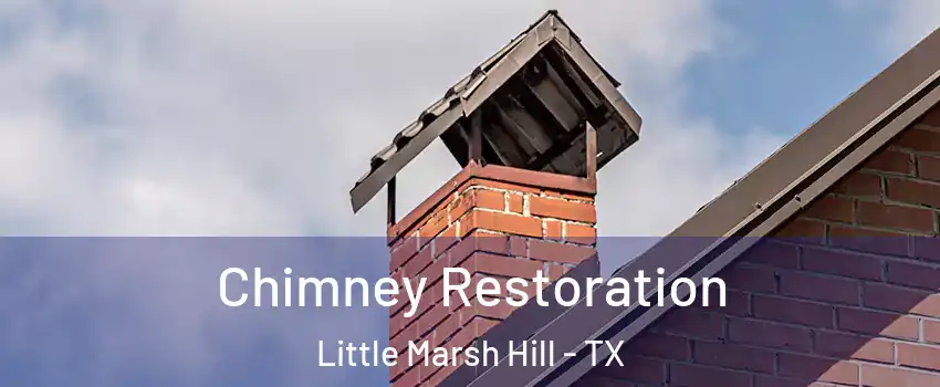Chimney Restoration Little Marsh Hill - TX